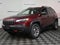 2020 Jeep Cherokee Trailhawk 4x4