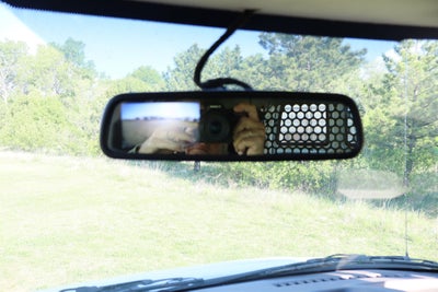 2024 GMC Savana Cargo Van Work Van